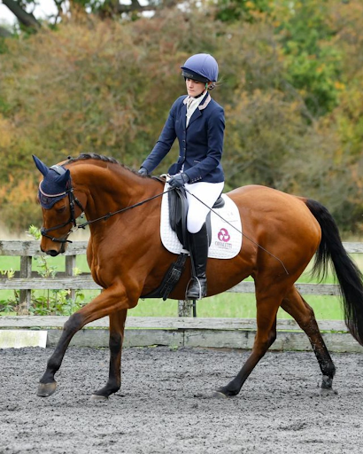Rider on a brown horse working in an outdoor arena, both in Cavaletti Collection tack. Photo credit from team_allerton.
