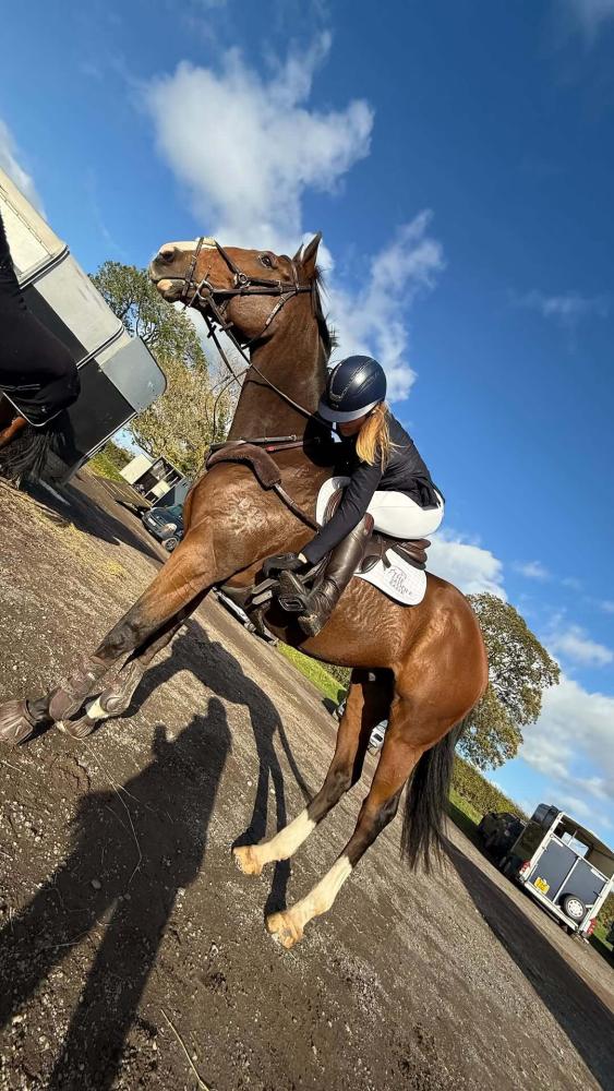 Event rider adjusting stirrups on a bay horse during preparation at a competition venue.