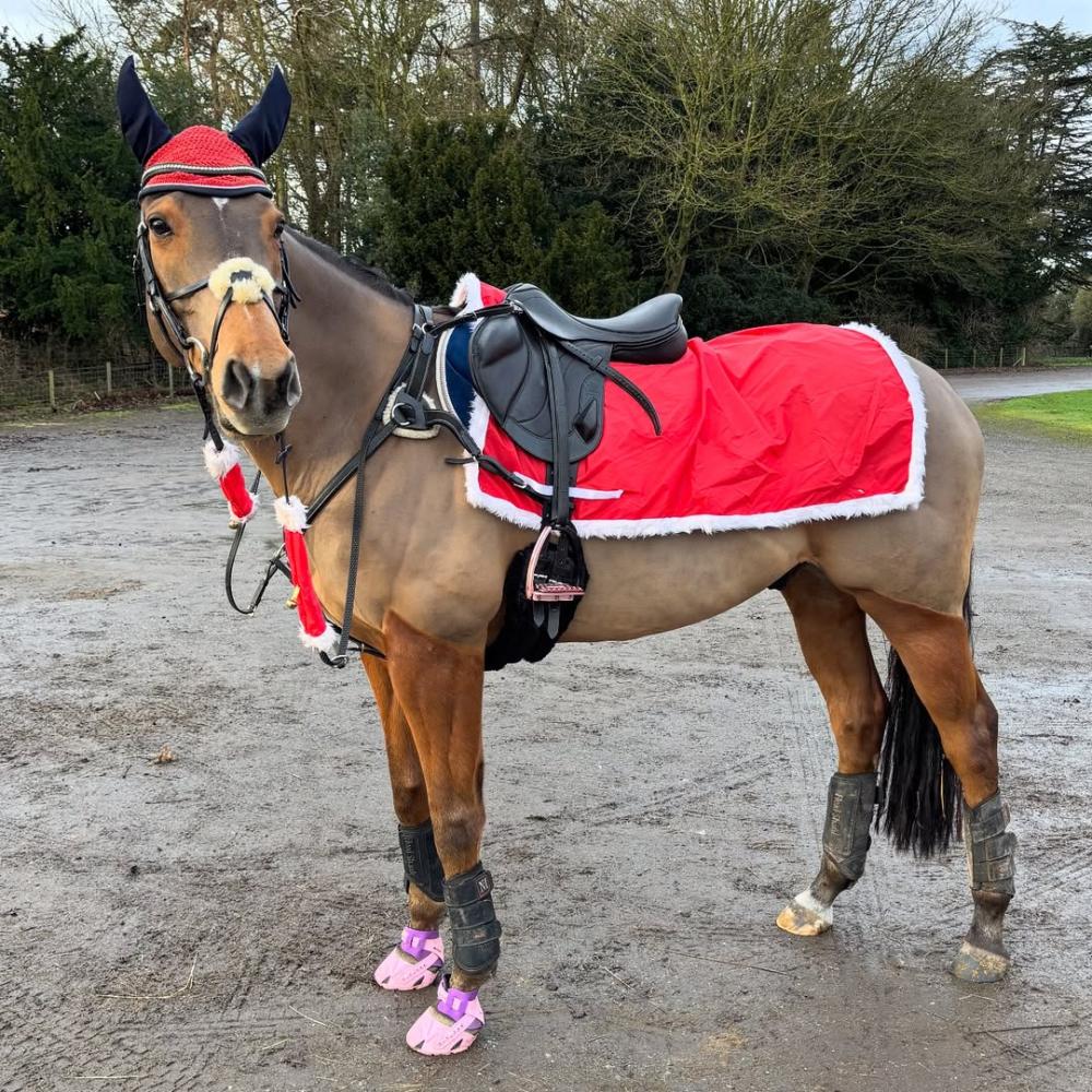 Rider in a festive elf costume standing beside a black horse decorated with a red saddle pad and Merry Christmas banner at an outdoor event.