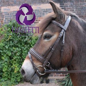 A horse wearing a brown leather Cavaletti Collection Discovery Flash Bridle with a flash noseband.
