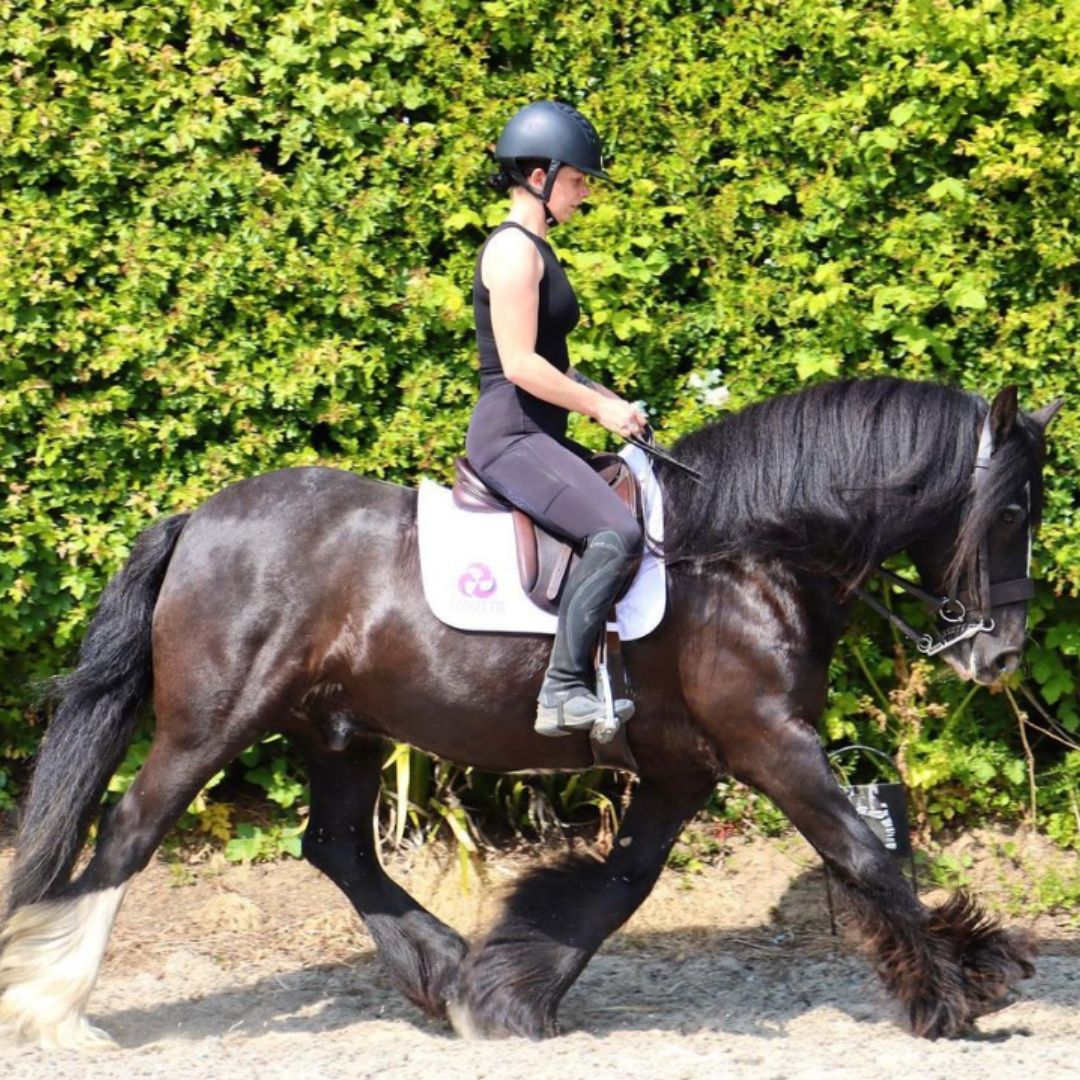 Girl riding a trotting horse