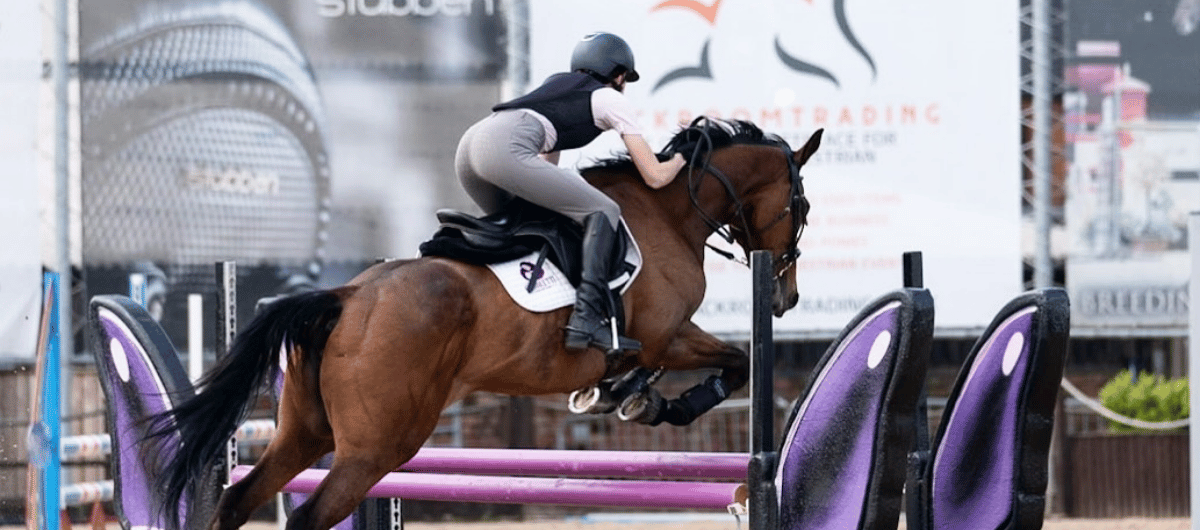 Horse and rider clearing a purple show‑jumping obstacle in an arena, captured mid‑air during a jump.