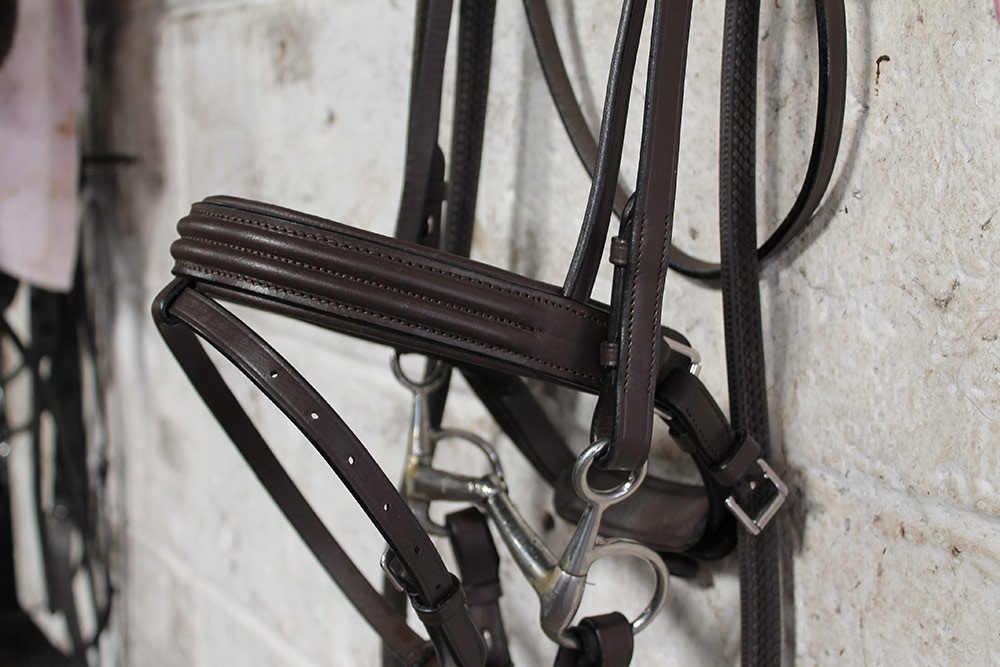 Cavaletti Collection Discovery Bridle